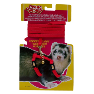 Ensemble laisse et harnais pour furet, ROUGE – LIVING WORLD