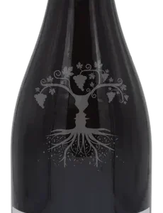 Beaujolais villages nouveau (2025)