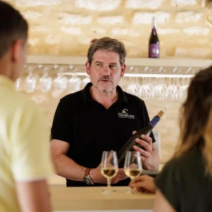 Excursion Route des Vins Bourgogne au départ de votre hôtel, Van 2 à 7 pers, (8h)