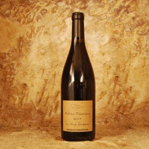 Saumur Champigny – La Haye Dampierre 2022 – Antoine Sanzay